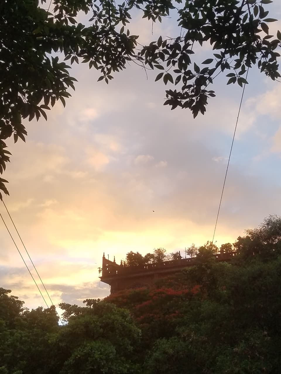 Sunset Over the Rooftop